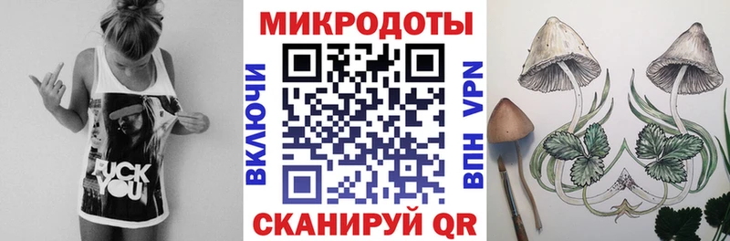 Купить закладки  Великие Луки  Псилоцибиновые грибы GOLDEN TEACHER 